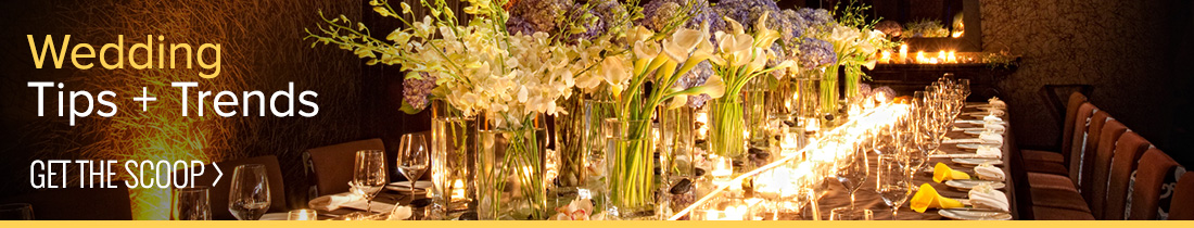 Wedding Tips + Trends