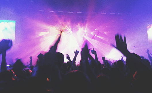 Concert Crowd from behind